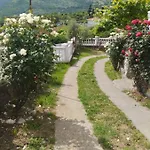 Woodstone * بودغوريتْسا