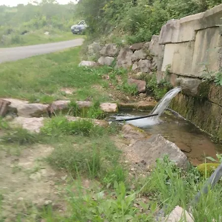 Woodstone * Podgorica