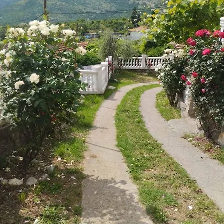 Woodstone * Podgorica