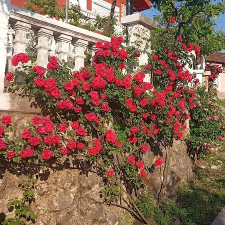 Woodstone * Ποντγορίτσα
