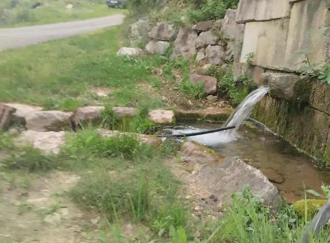 Woodstone * Podgorica