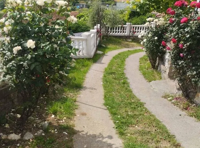 Woodstone * Podgorica